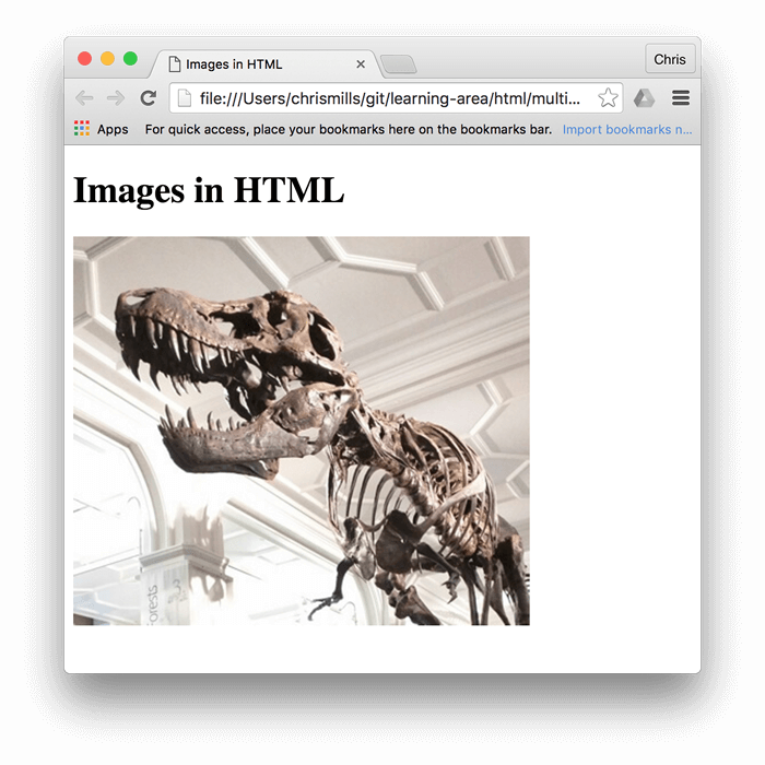 Ein grundlegendes Bild eines Dinosauriers, eingebettet in einen Browser, mit "Bilder in HTML" darüber geschrieben